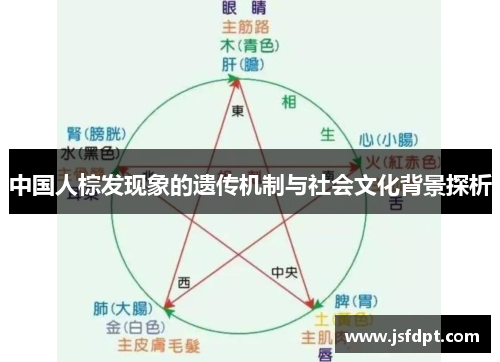 中国人棕发现象的遗传机制与社会文化背景探析